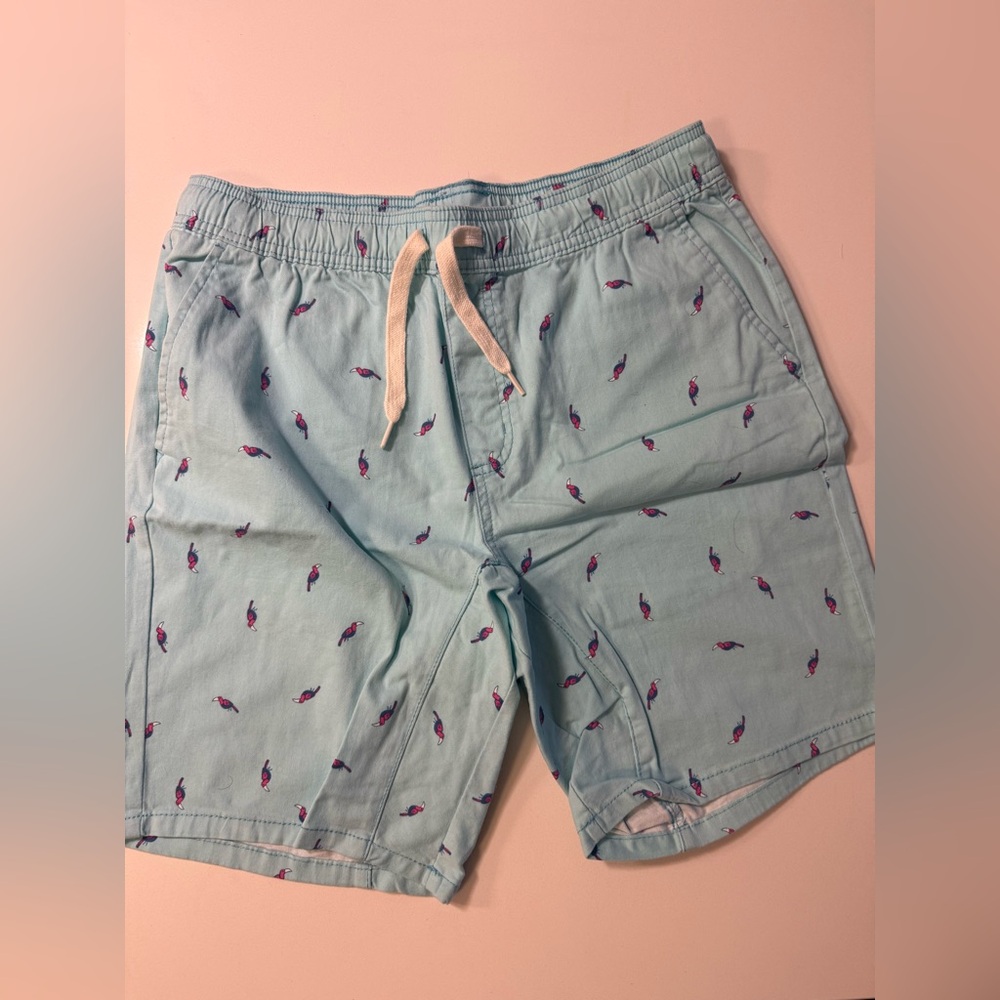 George Light Blue Board Shorts with Pink Accents